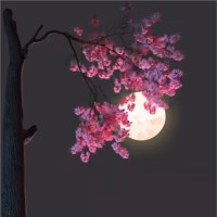 فاطمه الاسمري