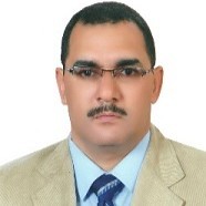 Sayed Elaraby