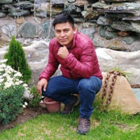 ALCOCER QUITIO JUAN CARLOS