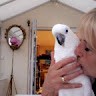 Sandra Pennill