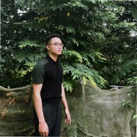 Paul Vu