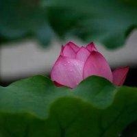 马永涛
