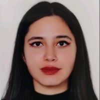 Şevi̇n Çeli̇k