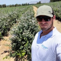 Ignacio Calvo-Pérez