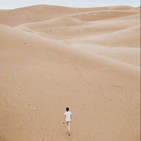 赵成柱
