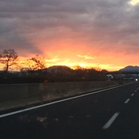 Carlo Regoliosi, Ph.D.