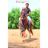 Vijay Kasotiya