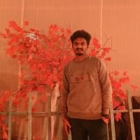 Vikash V