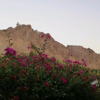 Aya Al-Hatmi