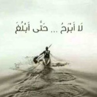 Mohamed Abdelmawgood