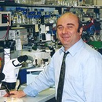 Carlo Bruschi