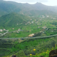 سامي الرفاعي
