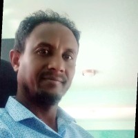 Tsega-Alem Berihu