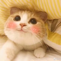 徐方昕
