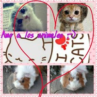 Arely Santoya