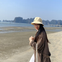 Dương Việt Hà
