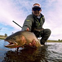 Matt Callister