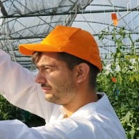 Matteo Donnini