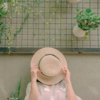 孙扬扬