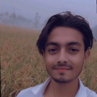 Tokeer Gaur