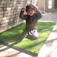 Sabeena Qasim