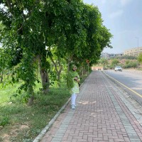 Rimsha Mazhar