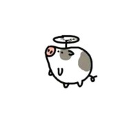 陈金奇