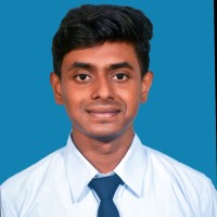 Souvik Alu