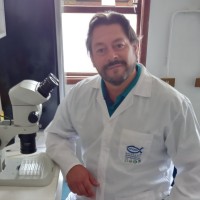 Cristian Segura Rivera