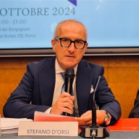 Stefano d'Orsi