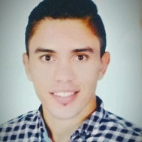 Sayed Mahrous