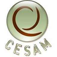 CESAM Formation