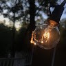 Sam Kulik