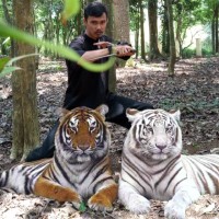 herwan andriawan