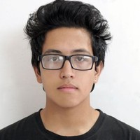 Aswin Shrestha