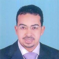 walid hamdy