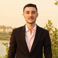 Mohamed Hesham Eltahawy