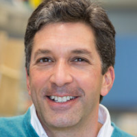 Frank Furnari