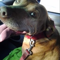 John Koger-RoslandCapitol