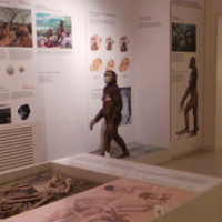 museo archeologico camaiore