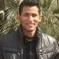 Ali Ezz