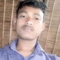 Jyotirmay Ray