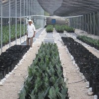 Manuel Mtz. Zamarrón