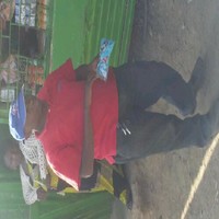 Vincent K. Mwirigi.
