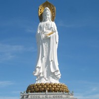 弋旭阳