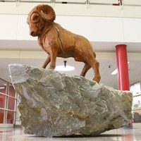 Rams Council