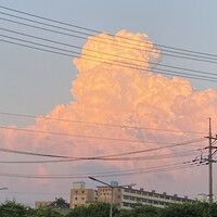 정희은