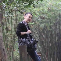 陈锦泽