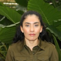 Gabriela Rocha Alvarez