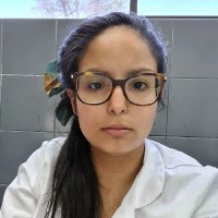 Constanza Andrea Urquieta Espindola